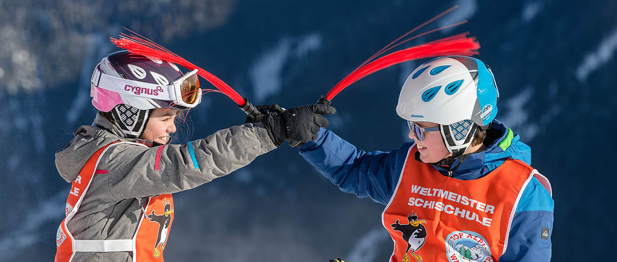 Partner & Links - Schischule Walchhofer Zauchensee